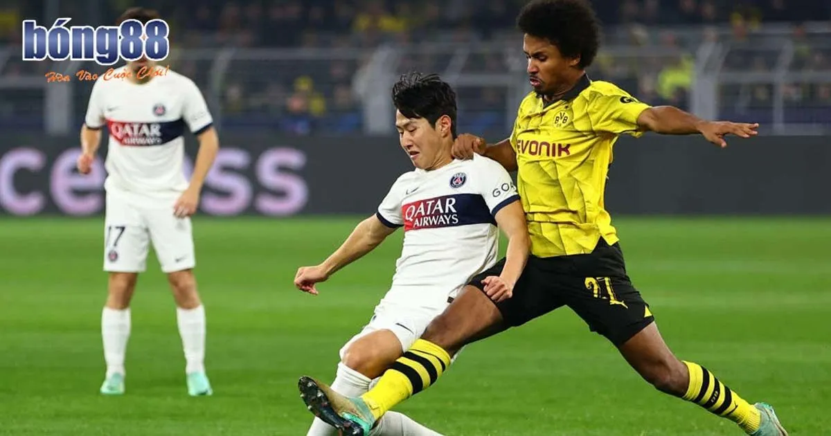 Bí Quyết Soi Kèo Nội Gián Chuẩn Xác Cho Những Tay Mơ